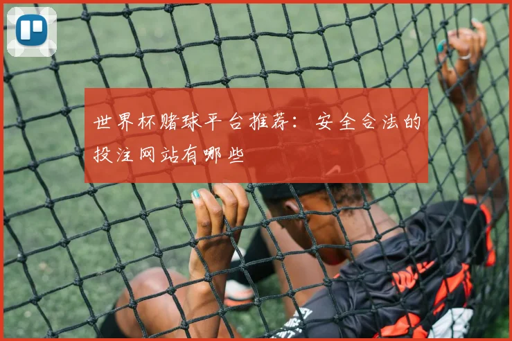 世界杯赌球平台推荐：安全合法的投注网站有哪些