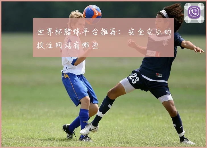 世界杯赌球平台推荐：安全合法的投注网站有哪些