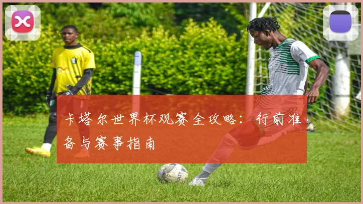 卡塔尔世界杯观赛全攻略：行前准备与赛事指南
