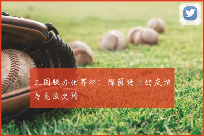 三国联办世界杯:绿茵场上的友谊与竞技史诗