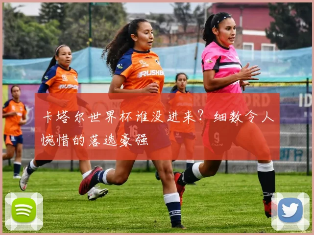 卡塔尔世界杯谁没进来？细数令人惋惜的落选豪强