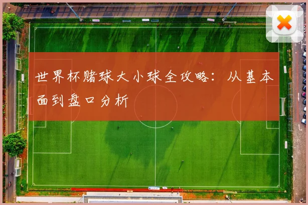 世界杯赌球大小球全攻略：从基本面到盘口分析