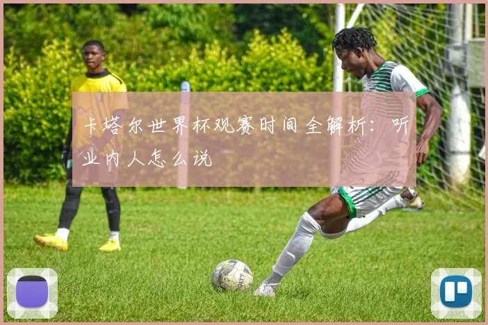 卡塔尔世界杯观赛时间全解析：听业内人怎么说